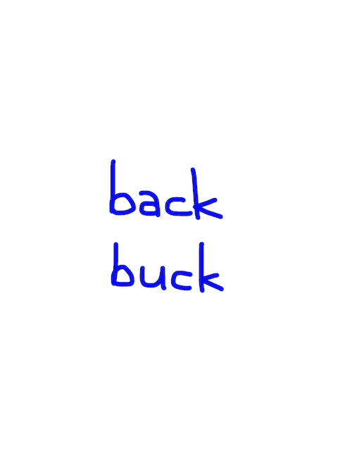 back/buck 似た英単語/似ている英単語 似た英単語/似ている英単語　画像