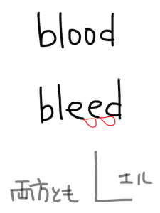 bleed/breed 似た英単語/似ている英単語　画像