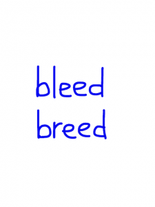 bleed/breed   似た英単語/似ている英単語　画像