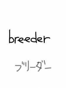 bleed/breed   似た英単語/似ている英単語　画像