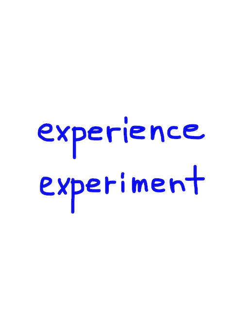 experience/experiment 似た単語/似ている英単語　画像