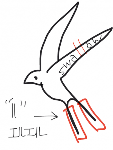 sparrow/swallow 似た単語/似ている英単語　画像