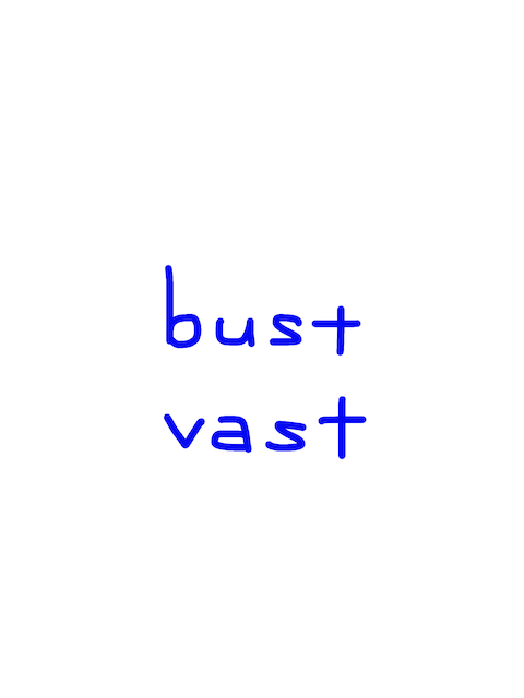 bust/vast 似た英単語/似ている英単語　画像