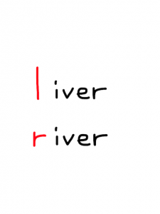 liver/river 似た英単語/似ている英単語　画像