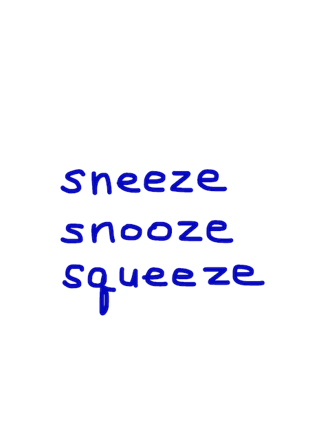 sneeze/snooze/squeeze 似た単語/似ている英単語　画像