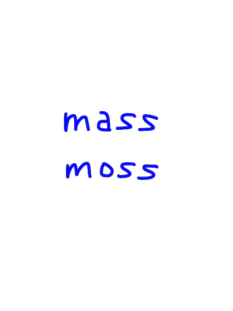 mass/moss 似た単語/似ている英単語　画像