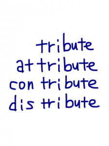 tribute/attribute/contribute/distribute 似た英単語/似ている英単語　画像