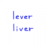 lever/liver 似た単語/似ている英単語　画像