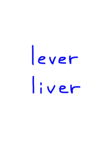 lever/liver    似た単語/似ている英単語　画像