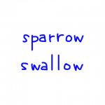 sparrow/swallow 似た単語/似ている英単語　画像