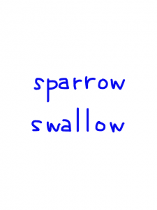 sparrow/swallow    似た単語/似ている英単語　画像