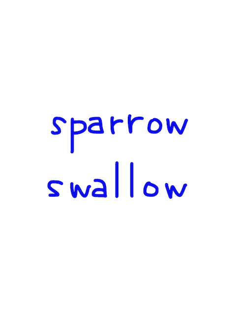 sparrow/swallow 似た単語/似ている英単語　画像