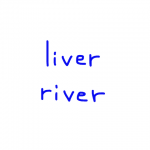 liver/river 似た単語/似ている英単語　画像