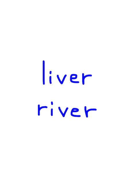 liver/river 似た単語/似ている英単語　画像