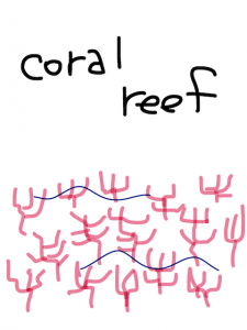 oral/coral/moral 似た単語/似ている英単語　画像