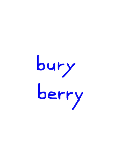 bury/berry 似た英単語/似ている英単語　画像