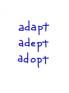 adapt/adept/adopt    似た単語/似ている英単語　画像