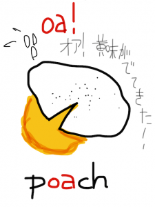 poach/porch/pouch 似た英単語/似ている英単語　画像