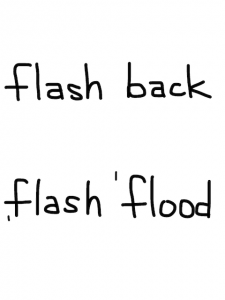 flash/flush 似た英単語/似ている英単語　画像