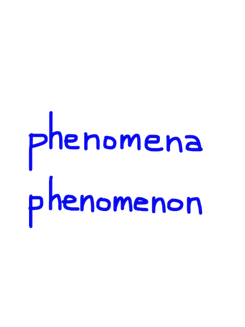 phenomena/phenomenon 似た英単語/似ている英単語　画像