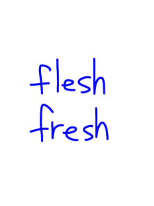 flesh/fresh 似た英単語/似ている英単語　画像