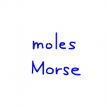 moles/Morse 似た英単語/似ている英単語　画像