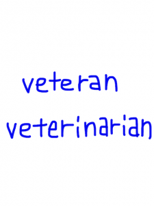 veteran/veterinarian　似た英単語/似ている英単語　画像