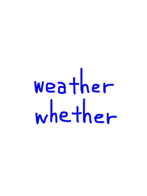 weather/whether 似た英単語/似ている英単語　画像