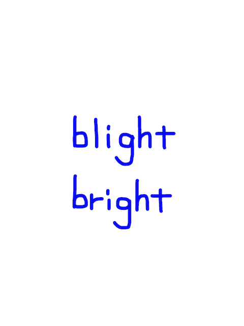 blight/bright 似た英単語/似ている英単語　画像