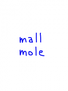 mall/moll   似た英単語/似ている英単語　画像