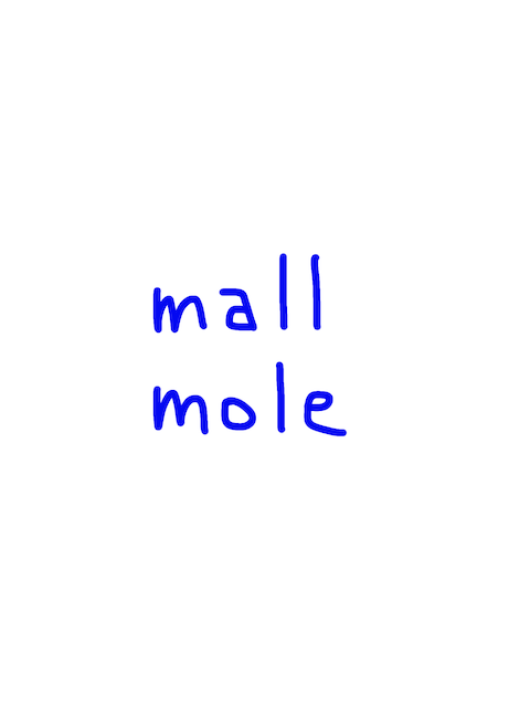 mall/moll 似た英単語/似ている英単語　画像