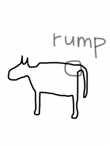 lamp/lump/ramp/rump　似た英単語/似ている英単語　画像