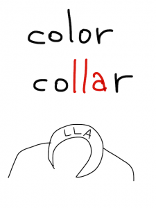 color/collar   似た英単語/似ている英単語　画像