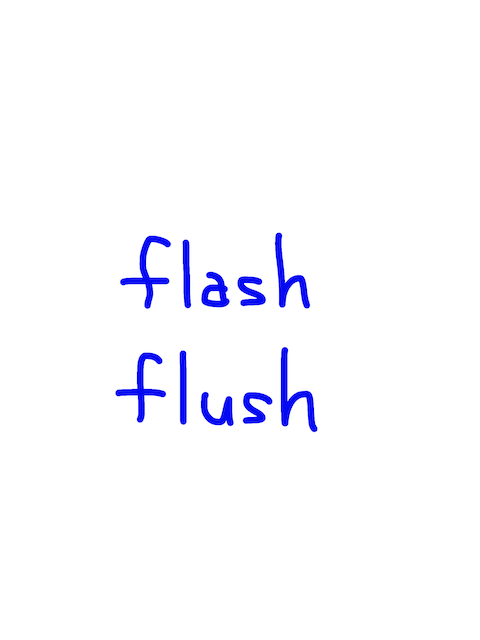 flash/flush 似た英単語/似ている英単語　画像