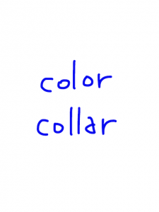 color/collar 似た英単語/似ている英単語　画像