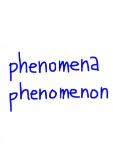 phenomena/phenomenon   似た英単語/似ている英単語　画像