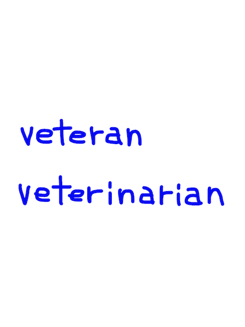 veteran/veterinarian　似た英単語/似ている英単語　画像