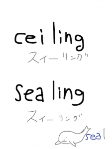 ceiling/sailing/sealing 似た英単語/似ている英単語　画像