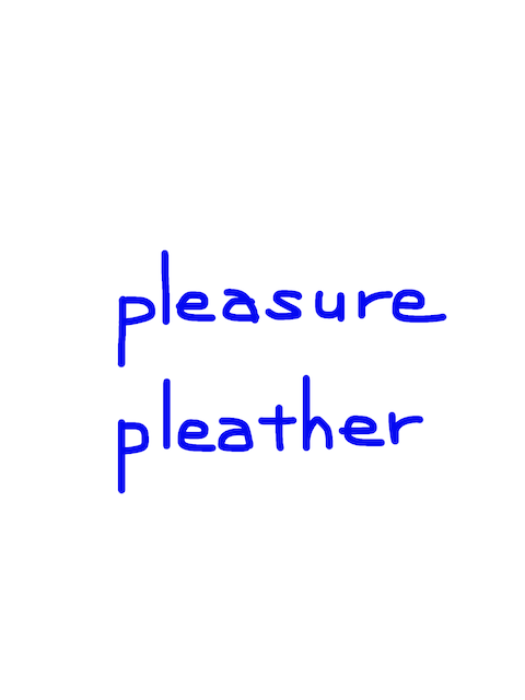 pleasure/pleather　似た英単語/似ている英単語　画像