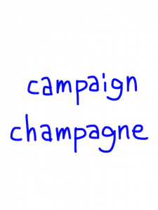 campaign/champagne　似た英単語/似ている英単語　画像