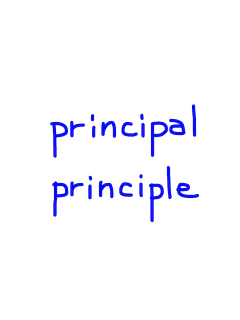 principal/principle　似た英単語/似ている英単語　画像