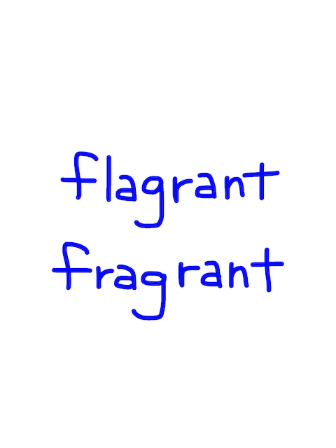 flagrant/fragrant　似た英単語/似ている英単語　画像