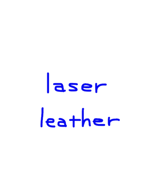 laser/leather　似た英単語/似ている英単語　画像