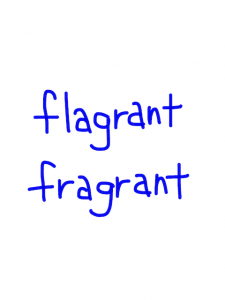 flagrant/fragrant　似た英単語/似ている英単語　画像