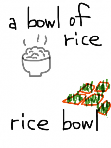 lice/rice　似た英単語/似ている英単語　画像