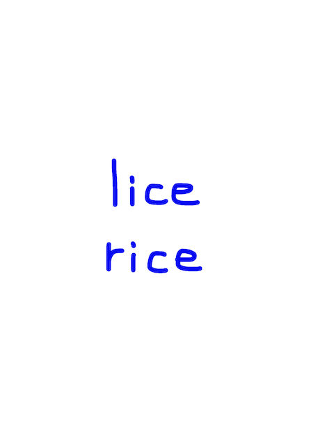 lice/rice　似た英単語/似ている英単語　画像