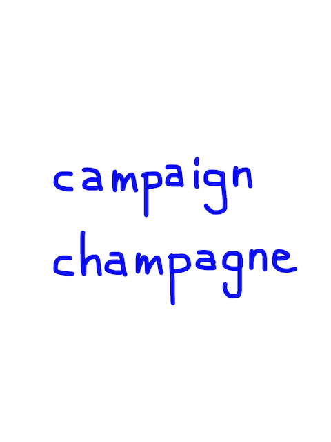 campaign/champagne　似た英単語/似ている英単語　画像