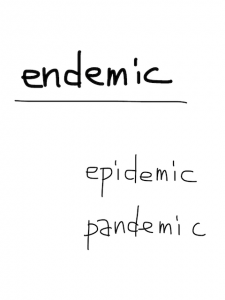 epidemic/pandemic　似た英単語/似ている英単語　画像