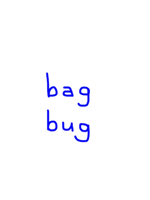 bag/bug　似た英単語/似ている英単語　画像