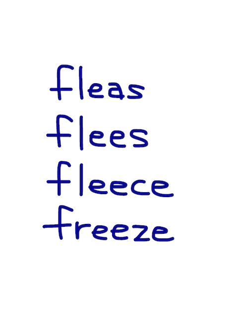 fleas/flees/fleece/freeze　似た英単語/似ている英単語　画像
